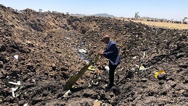 Lieu du crash du Boeing 737 MAX d'Ethiopian Airlines - Sputnik Afrique