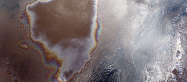 Nappe de pétrole (image d'illustration) Nappe de pétrole (image d'illustration) - Sputnik Afrique