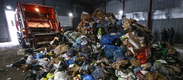 Déchets - Sputnik Afrique
