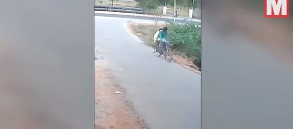 Un cobra agressif attaque des cyclistes - Sputnik Afrique