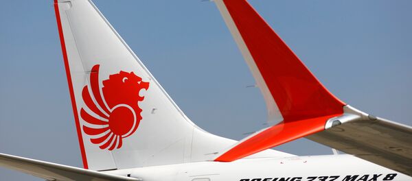 Un Boeing 737 MAX 8 de Lion Air - Sputnik Afrique