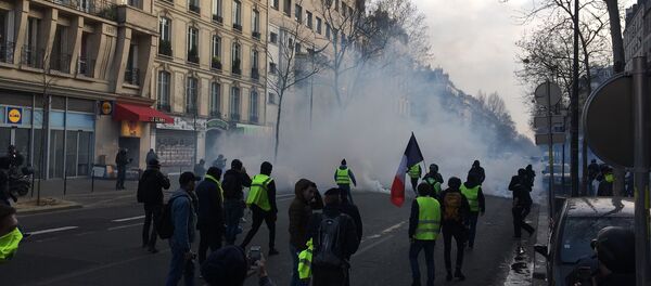 L’acte 19 de la mobilisation des Gilets jaunes - Sputnik Afrique