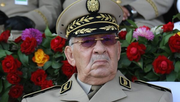 Ahmed Gaïd Salah, chef d’état-major de l’Armée nationale populaire (ANP) algérienne - Sputnik Afrique