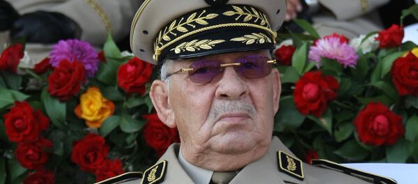 Ahmed Gaïd Salah, chef d’état-major de l’Armée nationale populaire (ANP) algérienne - Sputnik Afrique