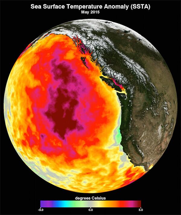 La bulle (Blob) d'eau chaude en Alaska La bulle (Blob) d'eau chaude en Alaska - Sputnik Afrique