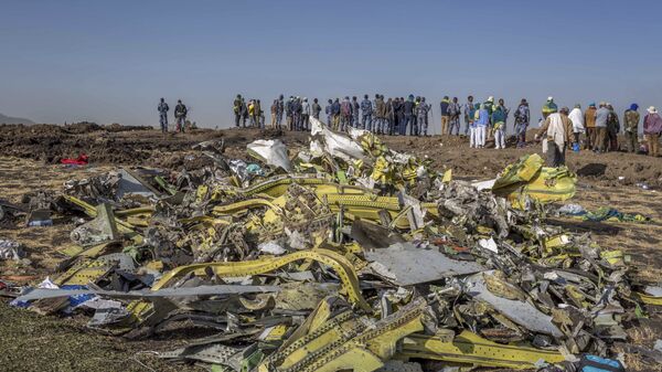 Lieu du crash du Boeing 737 MAX 8 éthiopien - Sputnik Afrique