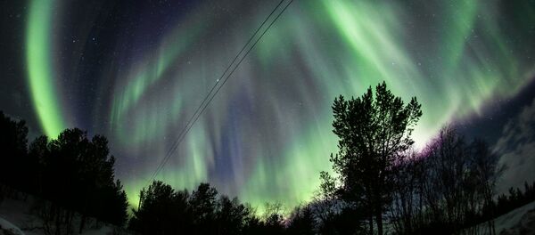 Lumières irréelles: les aurores polaires dans la région de Mourmansk - Sputnik Afrique