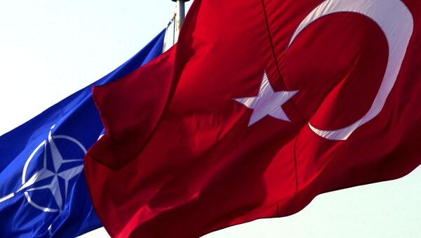 Les drapeaux turc et otanien - Sputnik Afrique