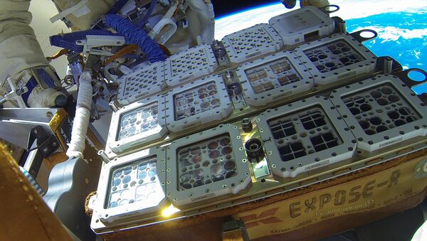 Certains organismes ont été placés à l’extérieur de l'ISS dans l’installation Expose-R2 - Sputnik Afrique