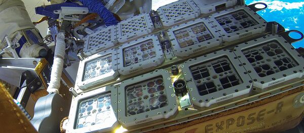 Certains organismes ont été placés à l’extérieur de l'ISS dans l’installation Expose-R2 - Sputnik Afrique