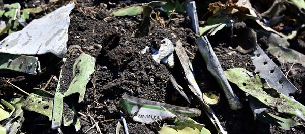 Les débris du Boeing 737 MAX 8 d'Ethiopian Airlines Les débris du Boeing 737 MAX 8 d'Ethiopian Airlines - Sputnik Afrique