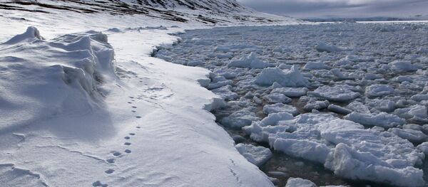 Une île de la terre François-Joseph - Sputnik Afrique