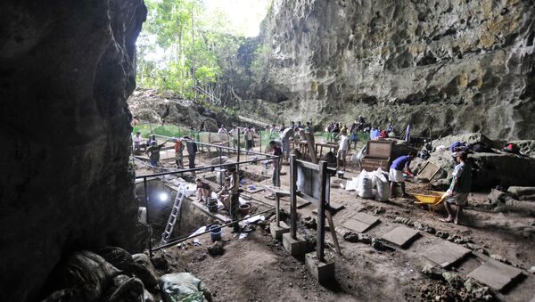 A handout image made available by Florent Detroit and taken on August 9, 2011 shows a view of the excavation in the Callao Cave in the north of Luzon Island - Sputnik Afrique