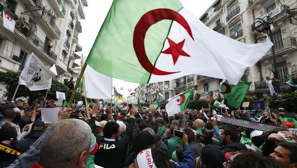 Le drapeau algérien - Sputnik Afrique