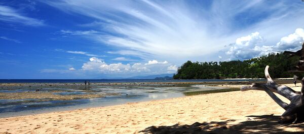 Célèbes - Sputnik Afrique