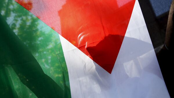 Un drapeau palestinien - Sputnik Afrique