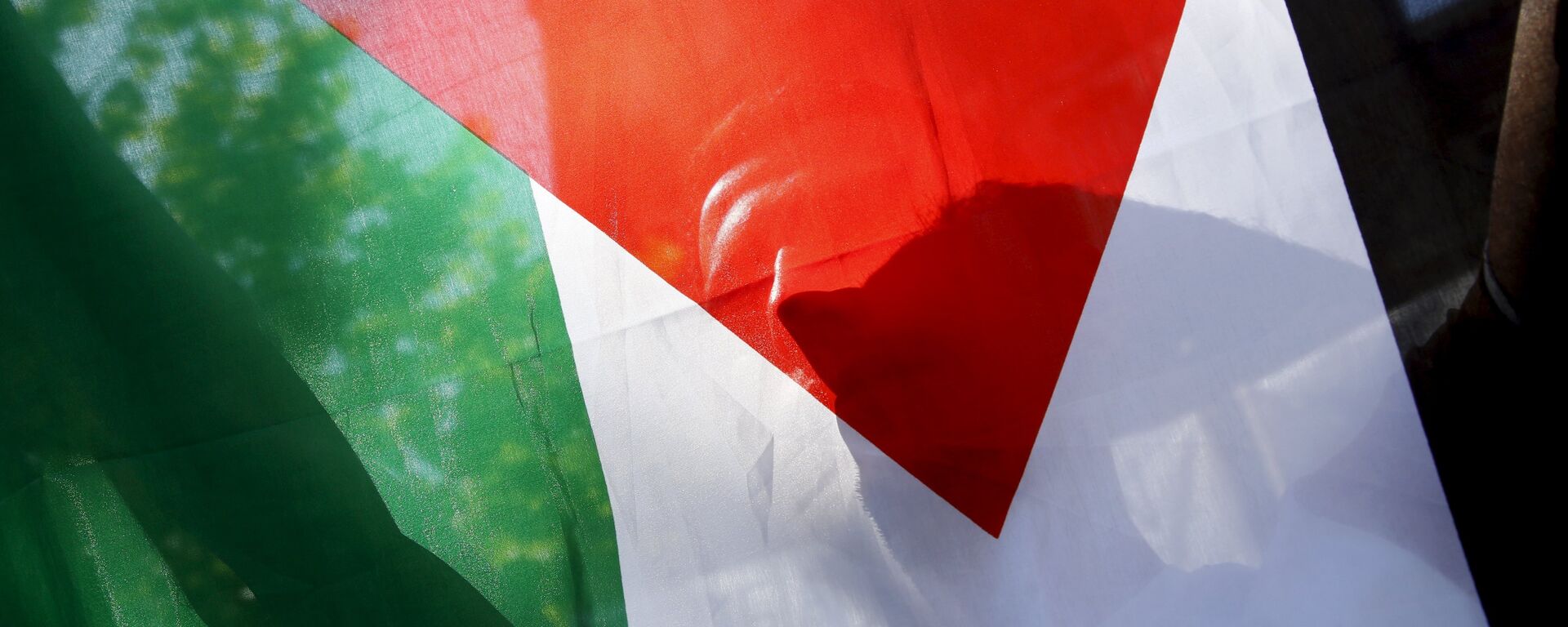 Un drapeau palestinien - Sputnik Afrique, 1920