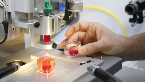 This photo taken on April 15, 2019 at the University of Tel Aviv shows a 3D print of heart with human tissue. Scientists in Israel on Monday unveiled a 3D print of a heart with human tissue and vessels, calling it a first and a major medical breakthrough that advances possibilities for transplants - Sputnik Afrique