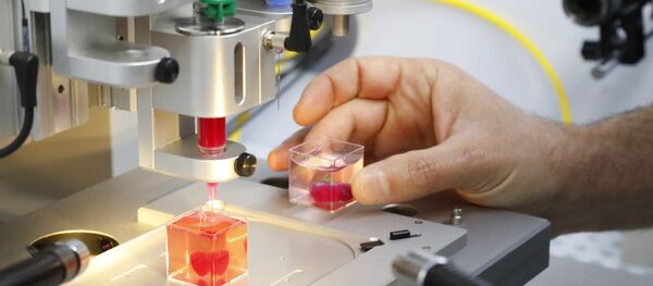 This photo taken on April 15, 2019 at the University of Tel Aviv shows a 3D print of heart with human tissue. Scientists in Israel on Monday unveiled a 3D print of a heart with human tissue and vessels, calling it a first and a major medical breakthrough that advances possibilities for transplants - Sputnik Afrique