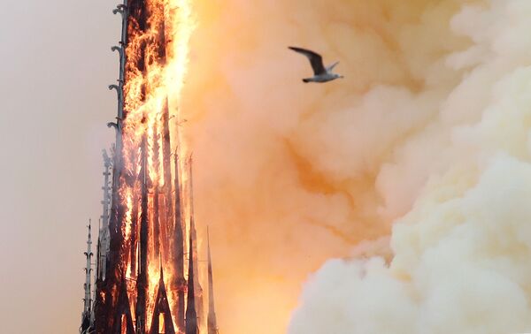 Notre-Dame de Paris en flammes - Sputnik Afrique