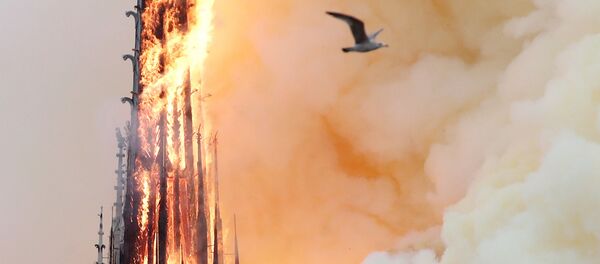 Notre-Dame de Paris en flammes - Sputnik Afrique