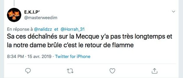 Capture d'écran: Twitter - Sputnik Afrique