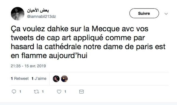 Capture d'écran: Twitter - Sputnik Afrique