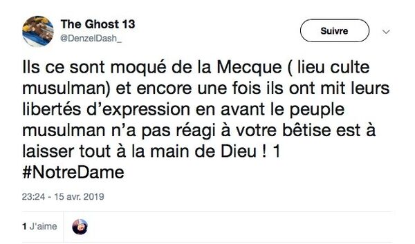 Capture d'écran: Twitter - Sputnik Afrique