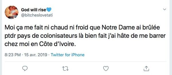Capture d'écran: Twitter - Sputnik Afrique
