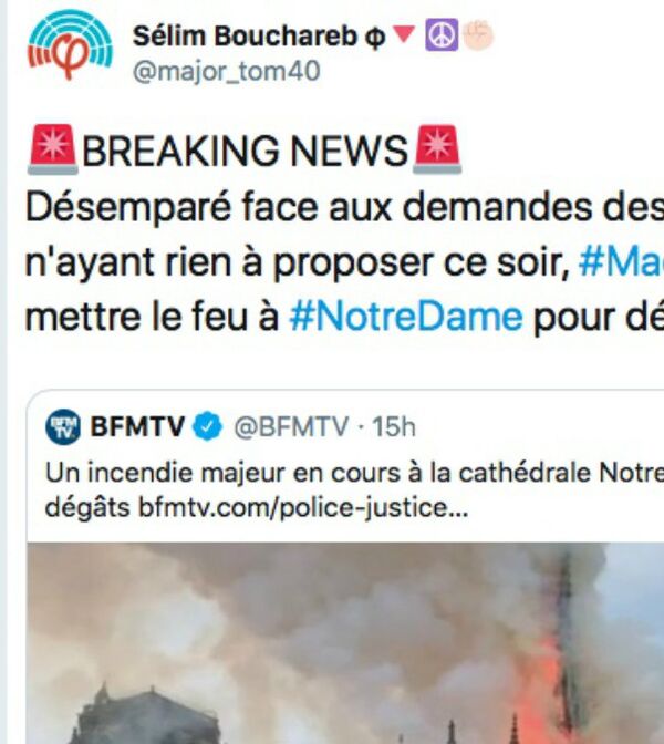 Capture d'écran: Twitter - Sputnik Afrique