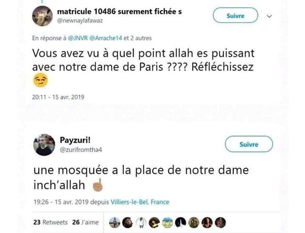 Capture d'écran: Twitter - Sputnik Afrique
