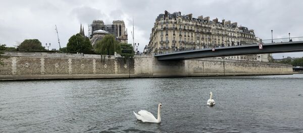 La vue de Notre-Dame de Paris après l'incendie du 15 avril 2019 - Sputnik Afrique