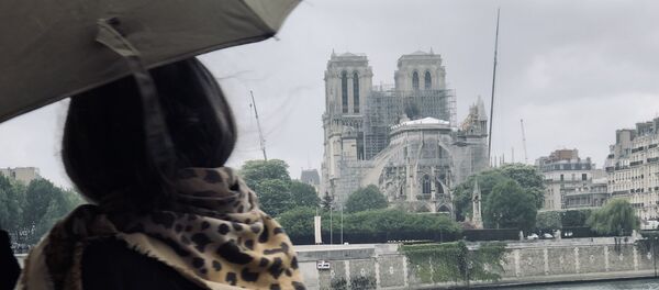 La vue de Notre-Dame de Paris après l'incendie du 15 avril 2019 - Sputnik Afrique