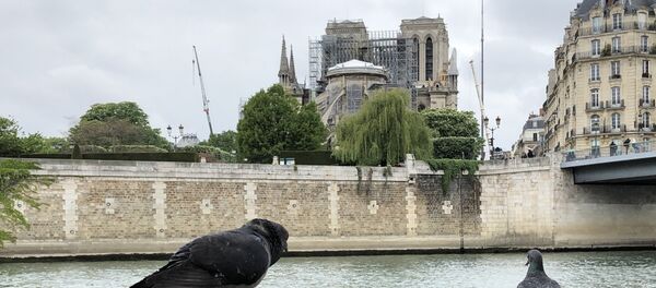 La cathédrale Notre-Dame de Paris après l'incendie, en avril 2019 La cathédrale Notre-Dame de Paris après l'incendie, en avril 2019 - Sputnik Afrique