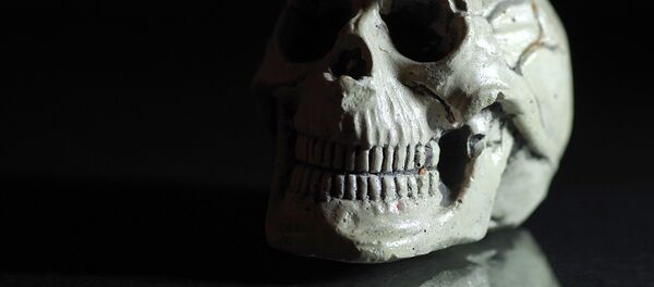 череп - Sputnik Afrique