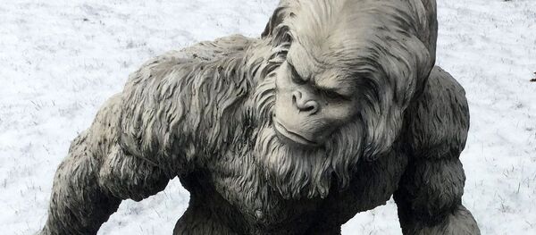 Yéti - Sputnik Afrique