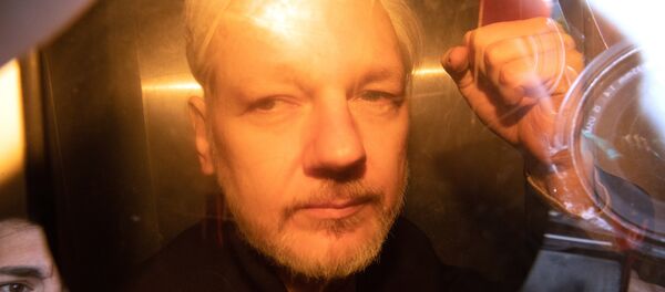 Julian Assange - Sputnik Afrique