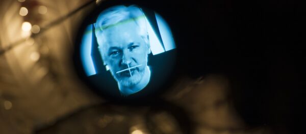 Julian Assange Julian Assange - Sputnik Afrique