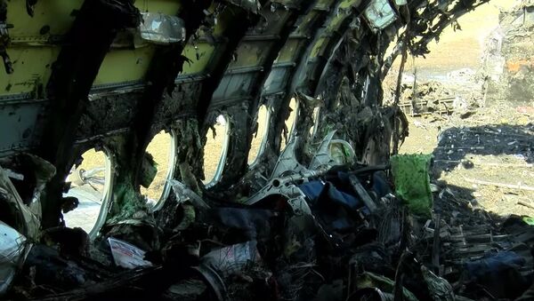 Le SSJ-100 d'Aeroflot endommagé par un incendie à l'aéroport Cheremetievo de Moscou - Sputnik Afrique