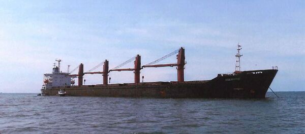 Cargo nord-coréen Wise Honest - Sputnik Afrique