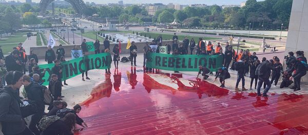 Une action d’Extinction Rébellion contre «l'anéantissement du monde vivant» à Paris, le 12 mai  - Sputnik Afrique