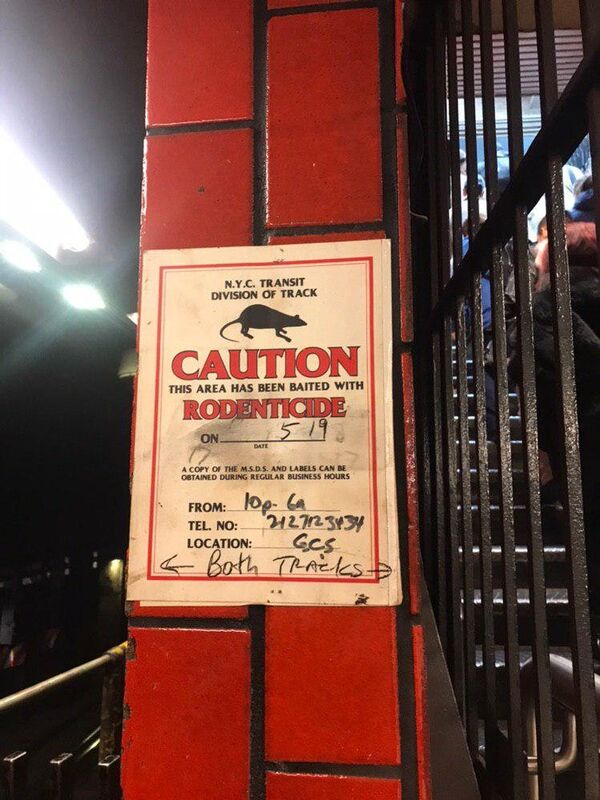 Métro de New York  - Sputnik Afrique