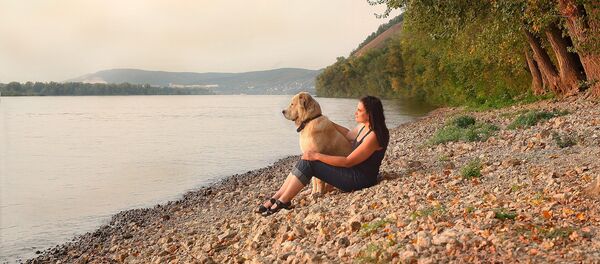 среднеазиатская овчарка - Sputnik Afrique