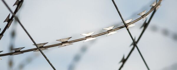 Fil de fer barbelé - Sputnik Afrique