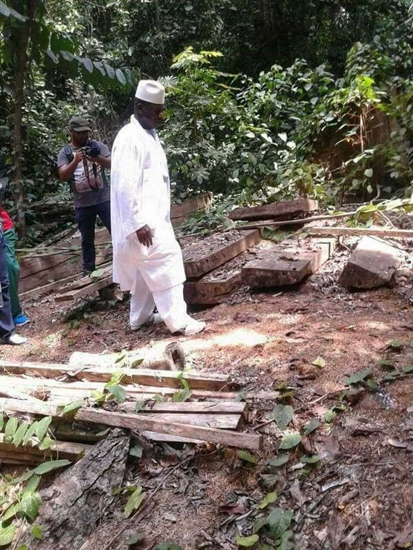 Guinée équatoriale: Agriculture et pêche, les loisirs guinéens de l’ex-homme fort de Gambie (reportage)   - Sputnik Afrique