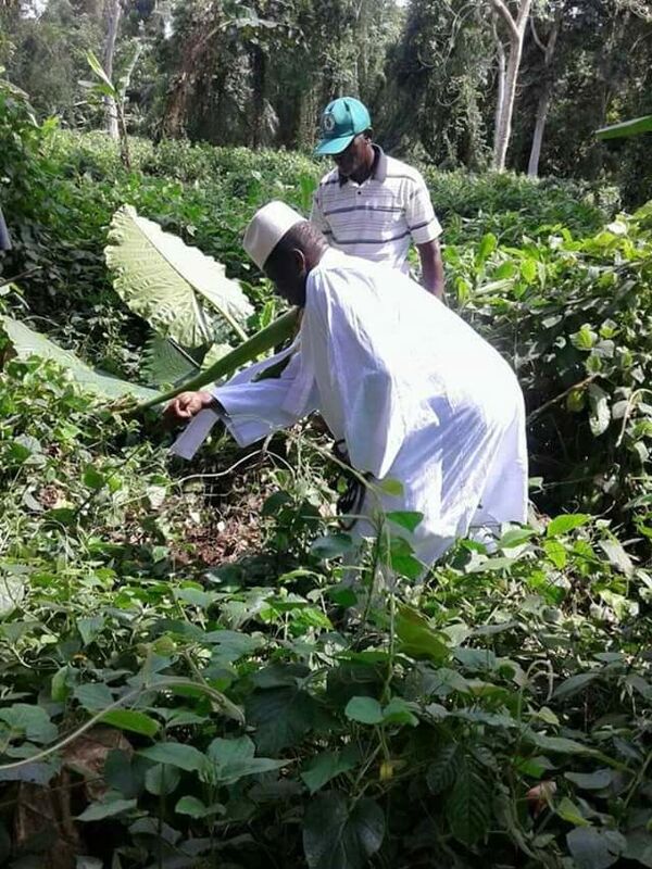 Guinée équatoriale: Agriculture et pêche, les loisirs guinéens de l’ex-homme fort de Gambie (reportage)   - Sputnik Afrique