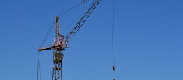 Une grue - Sputnik Afrique