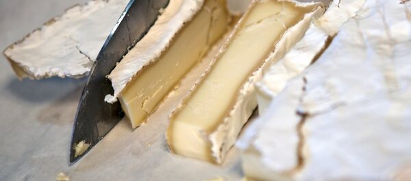 Fromage  - Sputnik Afrique