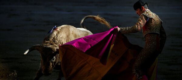 Тореро с быком во время корриды на арене Лас-Вентас в Мадриде, Испания - Sputnik Afrique