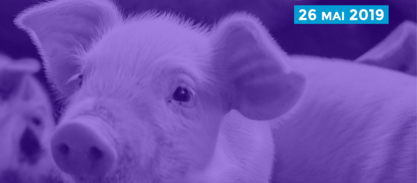 Affiche Parti animaliste - Sputnik Afrique